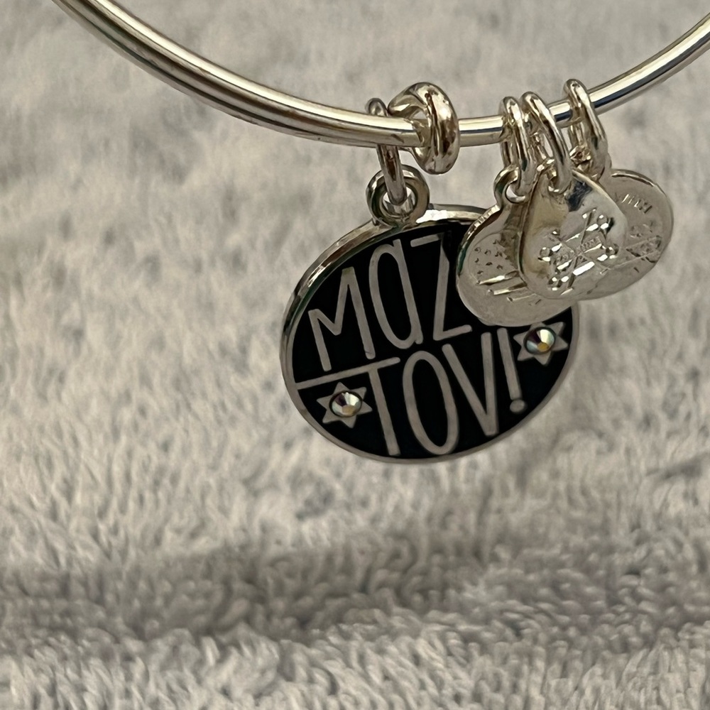 Alex and Ani Mazel Tov charm bracelate - Picture 13 of 13
